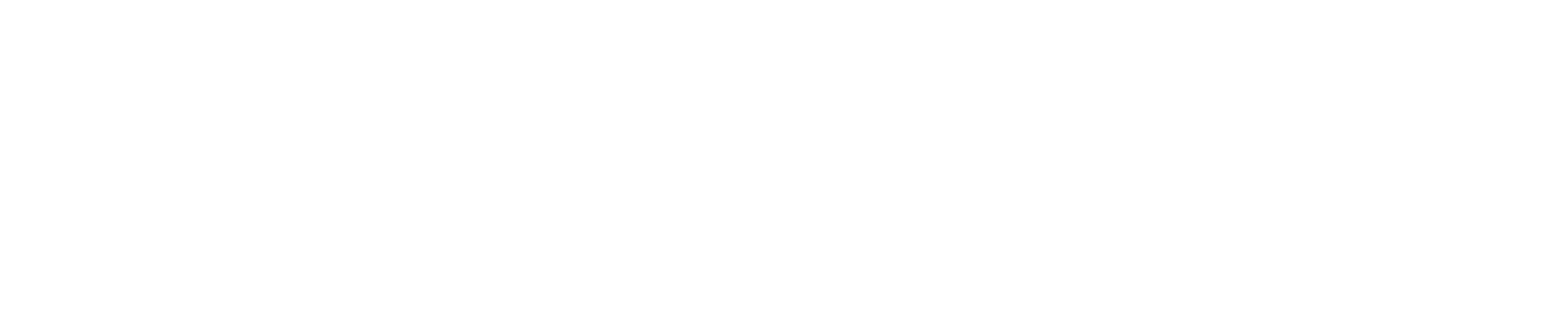 логотип id-check